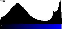 Blue Histogram