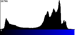 Blue Histogram