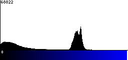 Blue Histogram