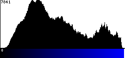 Blue Histogram