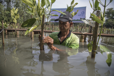 Astra Tanam Ribuan Bibit Mangrove di Utara Jakarta