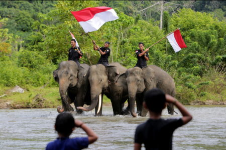 KAMPANYE PENYELAMATAN SATWA LANGKA INDONESIA