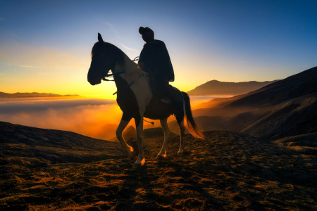 Kuda Bromo dan Bangkitnya Pariwisata Indonesia