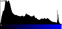 Blue Histogram