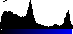 Blue Histogram