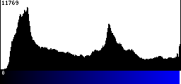 Blue Histogram