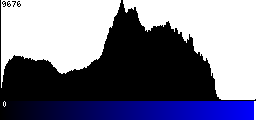 Blue Histogram