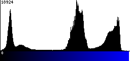 Blue Histogram