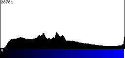 Blue Histogram