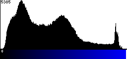 Blue Histogram