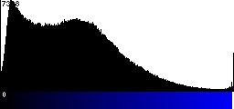 Blue Histogram