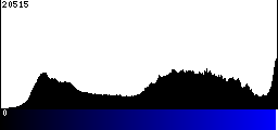 Blue Histogram