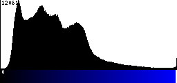 Blue Histogram