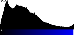 Blue Histogram