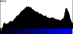 Blue Histogram