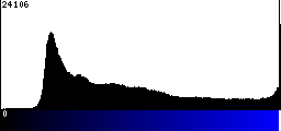 Blue Histogram