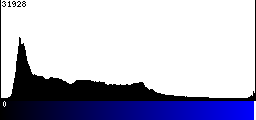 Blue Histogram