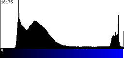 Blue Histogram