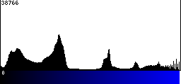 Blue Histogram