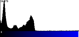 Blue Histogram