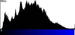 Blue Histogram