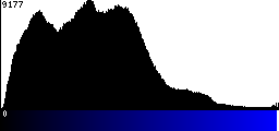 Blue Histogram