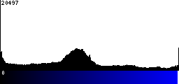 Blue Histogram