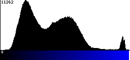 Blue Histogram