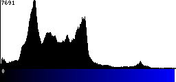 Blue Histogram