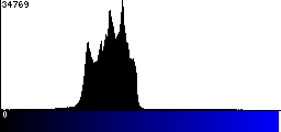 Blue Histogram