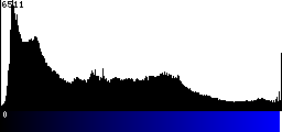 Blue Histogram