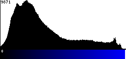 Blue Histogram