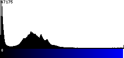 Blue Histogram