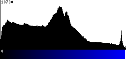 Blue Histogram