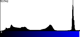 Blue Histogram