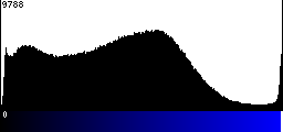 Blue Histogram