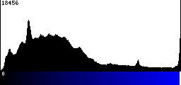 Blue Histogram