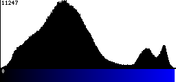 Blue Histogram