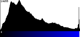 Blue Histogram