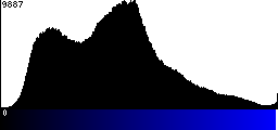 Blue Histogram