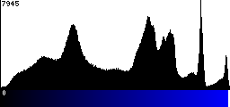 Blue Histogram