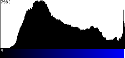 Blue Histogram