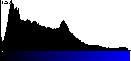 Blue Histogram