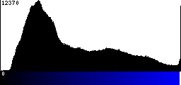 Blue Histogram