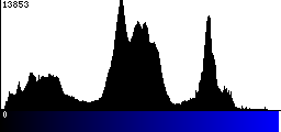 Blue Histogram