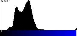 Blue Histogram