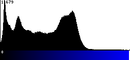 Blue Histogram