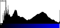 Blue Histogram