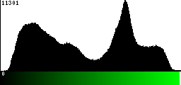 Green Histogram