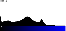 Blue Histogram